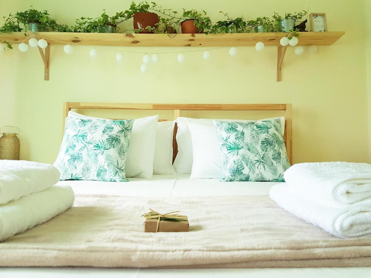 קוסטה דה קפאריקה Green Element Guesthouse מראה חיצוני תמונה