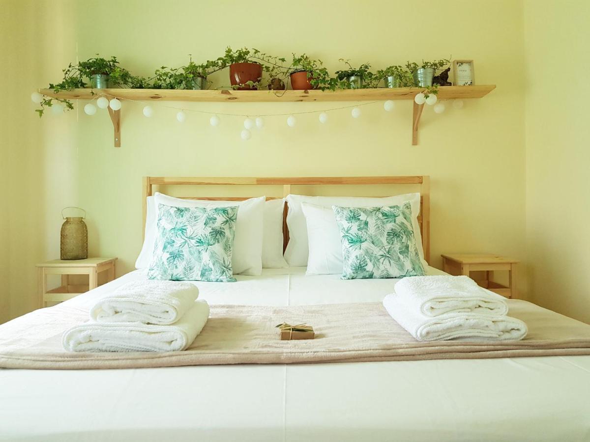 קוסטה דה קפאריקה Green Element Guesthouse מראה חיצוני תמונה