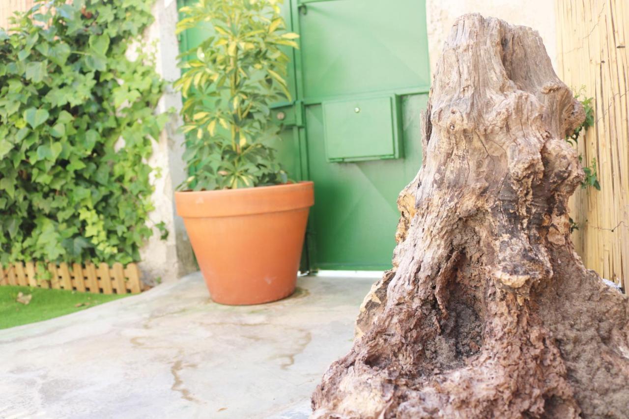 קוסטה דה קפאריקה Green Element Guesthouse מראה חיצוני תמונה