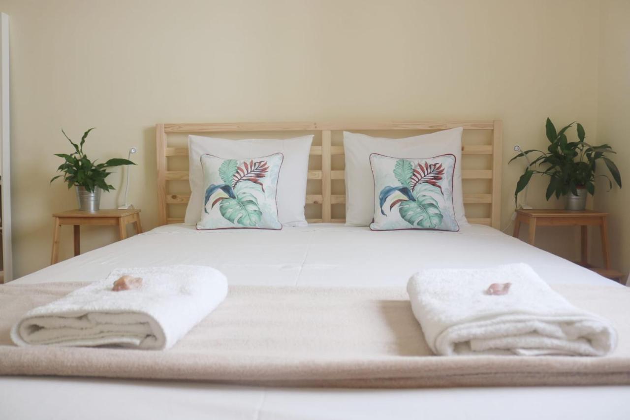 קוסטה דה קפאריקה Green Element Guesthouse מראה חיצוני תמונה