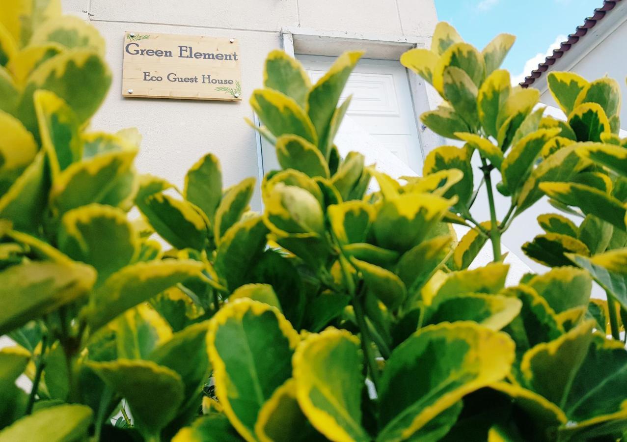 קוסטה דה קפאריקה Green Element Guesthouse מראה חיצוני תמונה